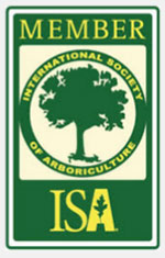 Yearly Member of ISA