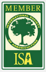 ISA